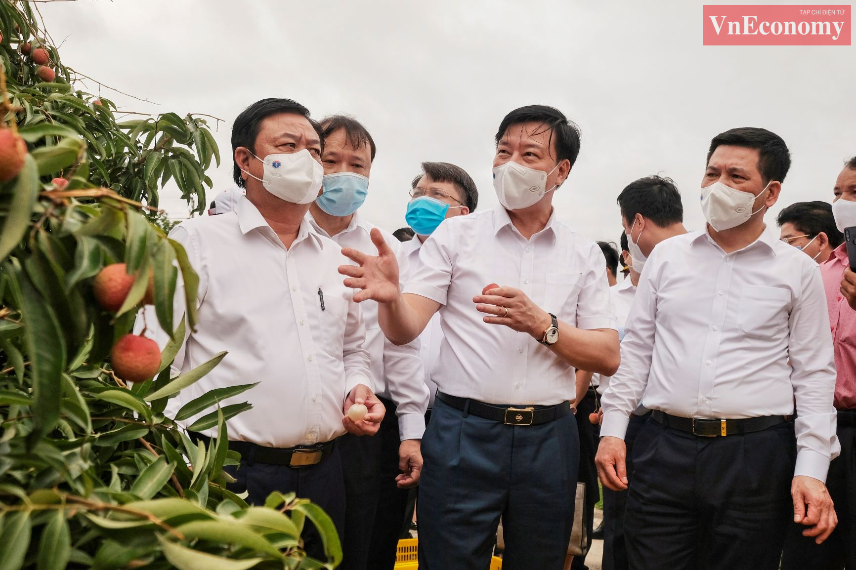 Đồng ch&iacute; B&iacute; thư Tỉnh ủy Phạm Xu&acirc;n Thăng đ&atilde; giới thiệu với l&atilde;nh đạo c&aacute;c bộ, ng&agrave;nh về quả vải thiều sớm ở khu H&agrave; Đ&ocirc;ng. Đ&acirc;y l&agrave; loại quả mang lại gi&aacute; trị Link Trang Chủ PG88.Com Mới #2026 cao cho người d&acirc;n Thanh H&agrave;.