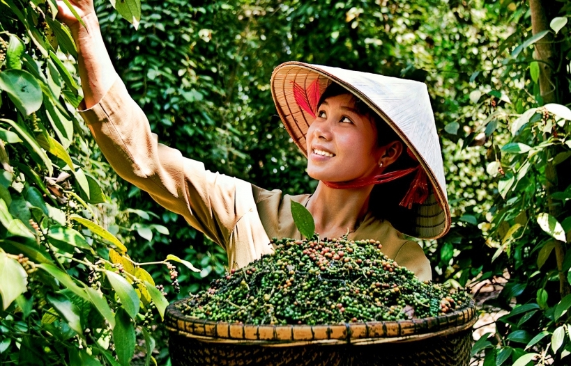 Ảnh minh hoạ.