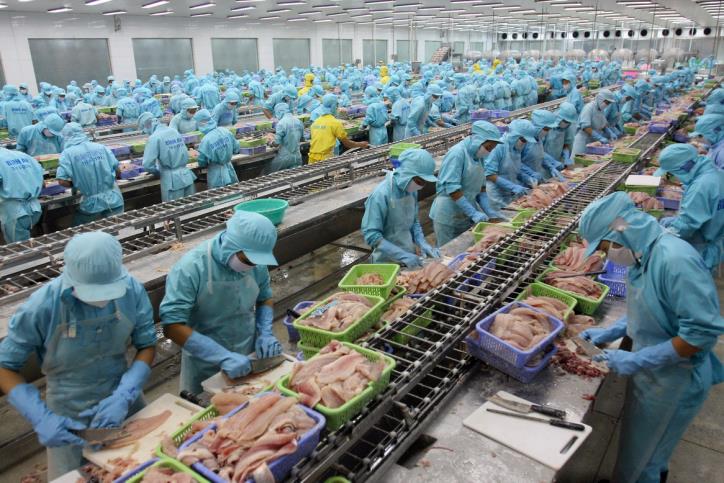 Giảm khủng hoảng việc làm?
