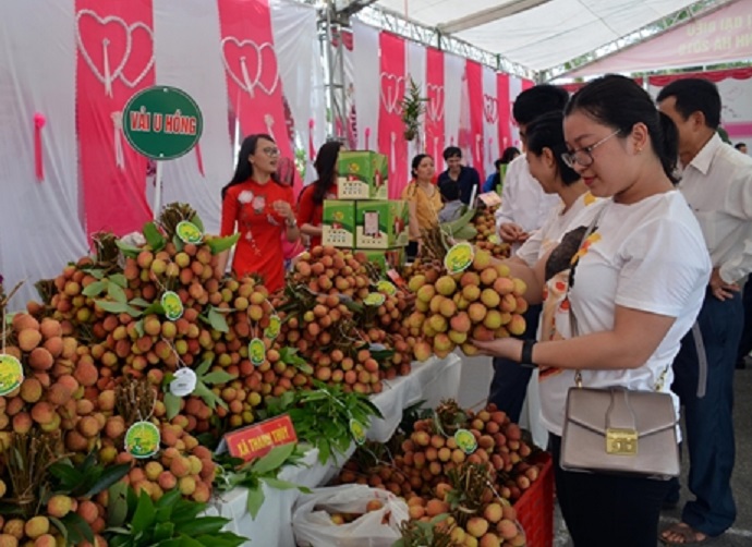 Dự kiến đến cuối tháng 7/2021 khối lượng Pg88 com chính chủ có thể lên đến 100 tấn.
