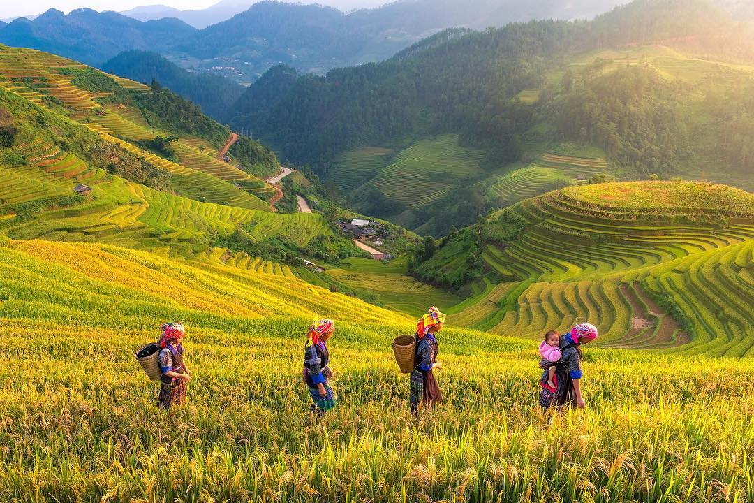 Dịch vụ du lịch có bước tăng trưởng mạnh, trở thành ngành PG88 ⭐ Link trang chủ số 1 nhà cái PG88 com casino slot chủ lực của tỉnh. 
