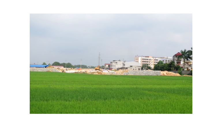 Báo cáo chuyển đổi đất trồng lúa, đất rừng phòng hộ làm Pg88vn.top độc quyền mỗi ngày trước 15/7/2021