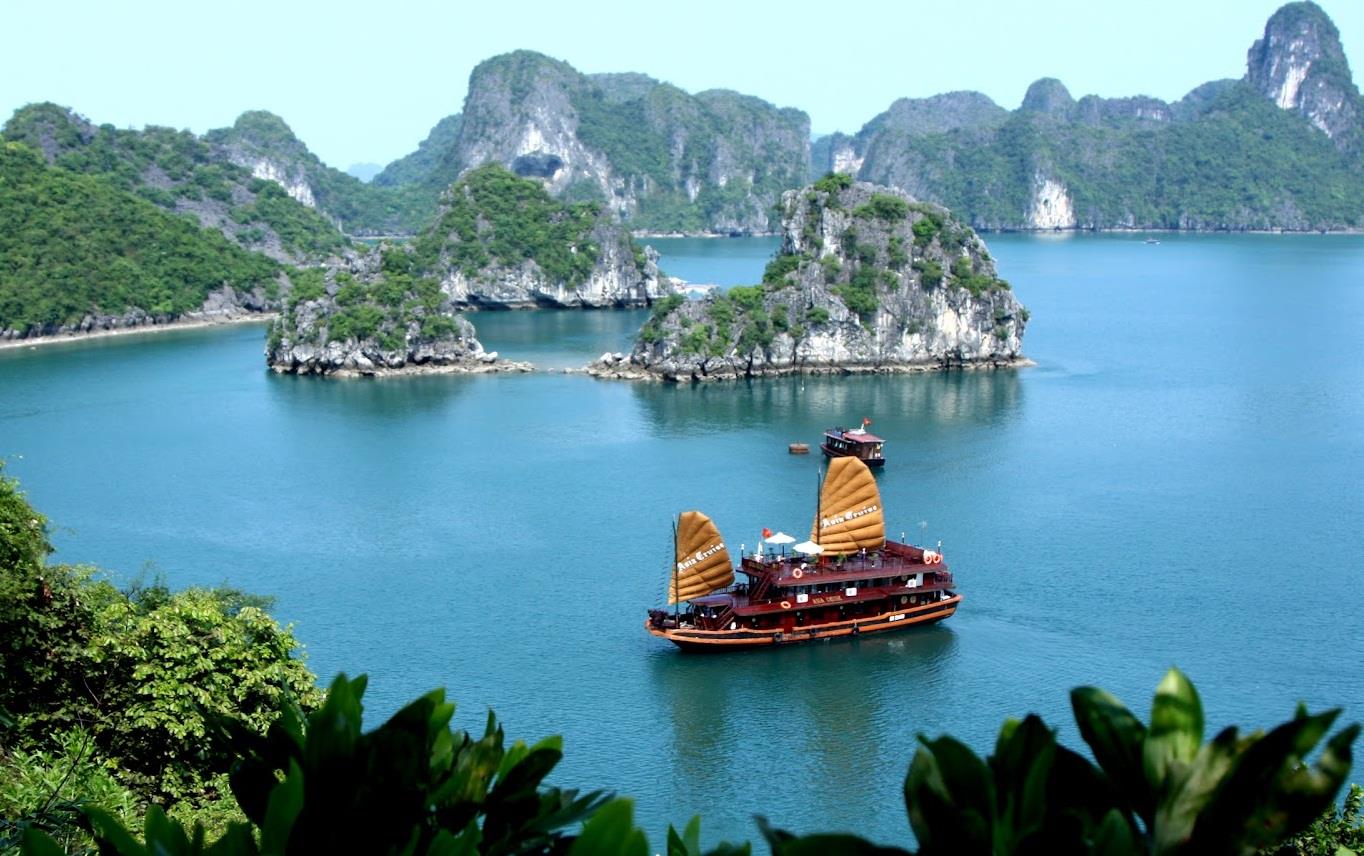 Ảnh minh họa.