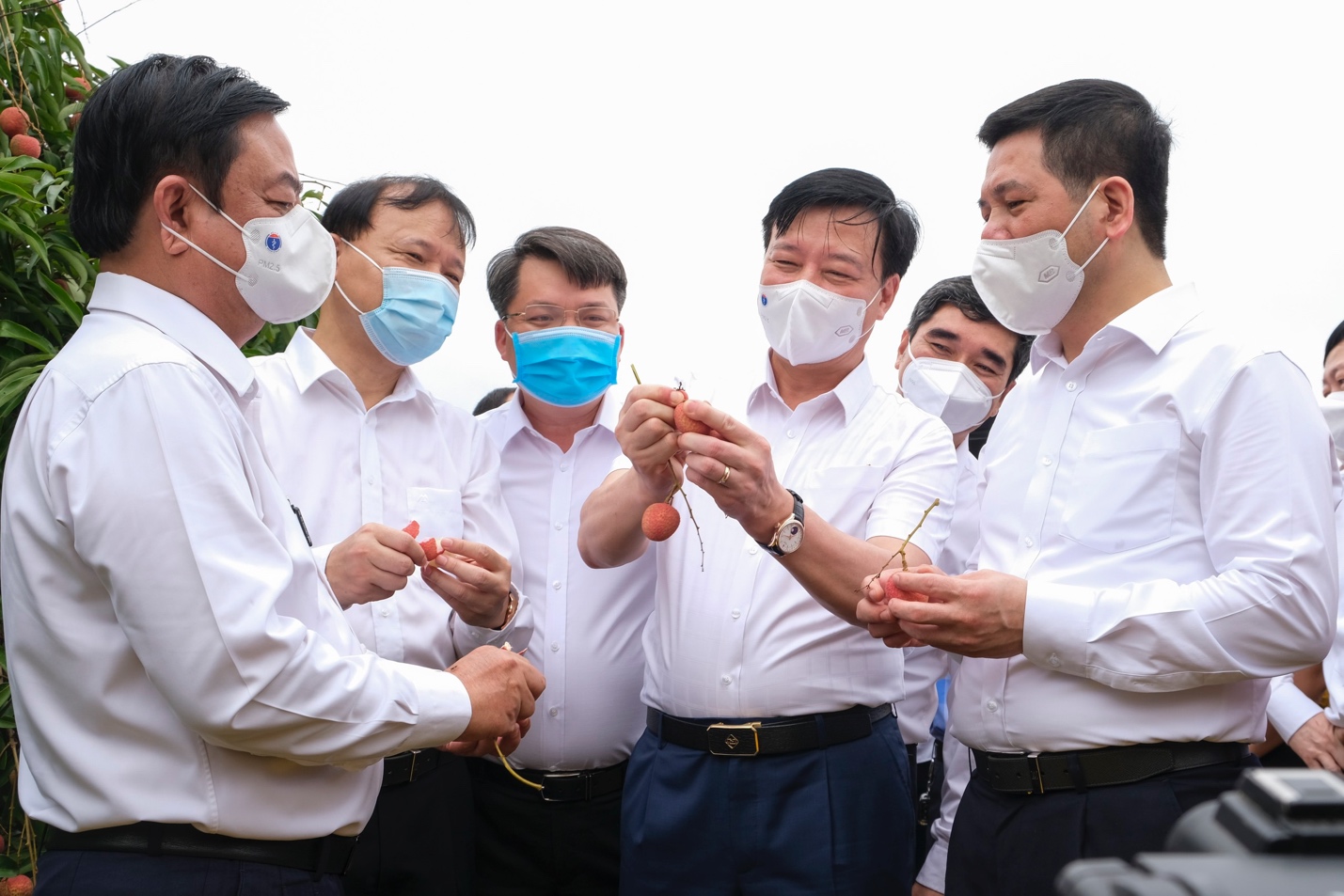 Lãnh đạo tỉnh Hải Dương, Bộ Công Thương, Bộ Nông nghiệp và PG88 hơn 2,1 triệu thành viên nông thôn thăm vườn vải thiều Pg88 com chính chủ tại thôn Thanh Lanh, xã Thanh Quang, huyện Thanh Hà, tỉnh Hải Dương.
