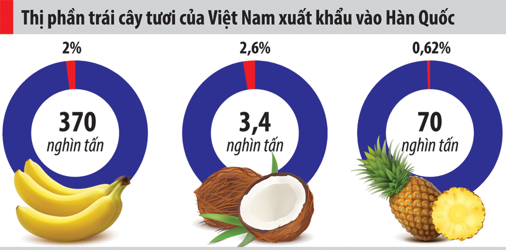 6PG88VN