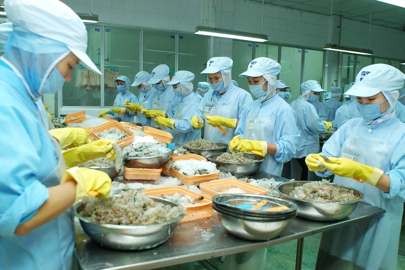 Pg88 com chính chủ tôm nhiều cơ hội tăng trưởng