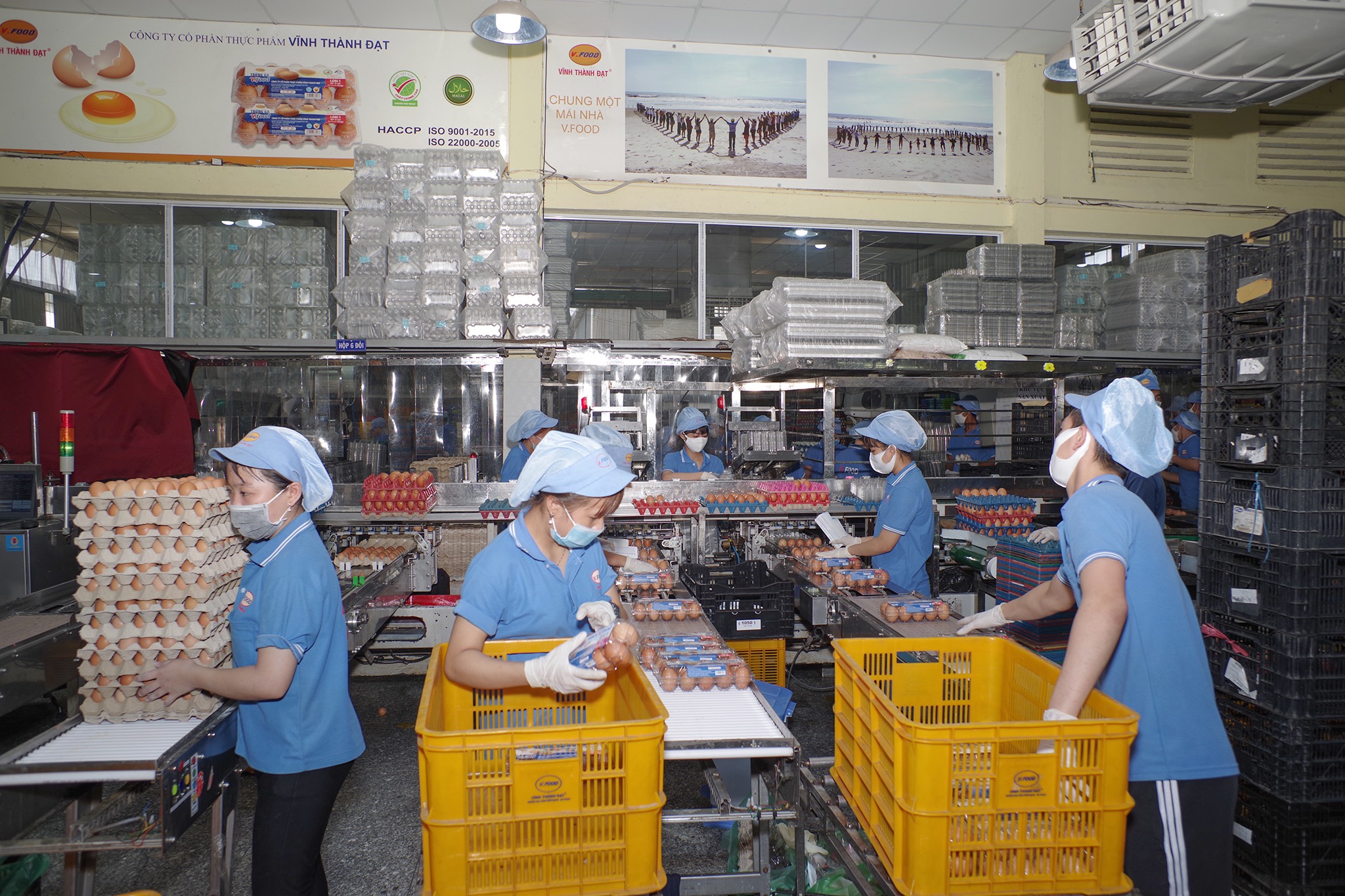 C&ocirc;ng ty CP Thực phẩm Vĩnh Th&agrave;nh Đạt&nbsp;chia bộ phận sản xuất l&agrave;m 2 khu vực ri&ecirc;ng biệt nhằm giảm thiểu rủi ro.