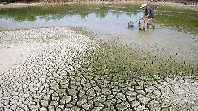 Môi trường là một trong ba trụ cột của ESG.