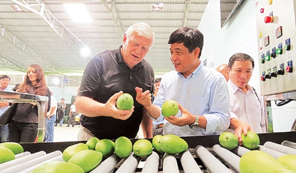 Sau 10 năm đàm phán, tháng 2/2019 xoài Việt Nam chính thức được phép Pg88 com chính chủ sang Hoa Kỳ.