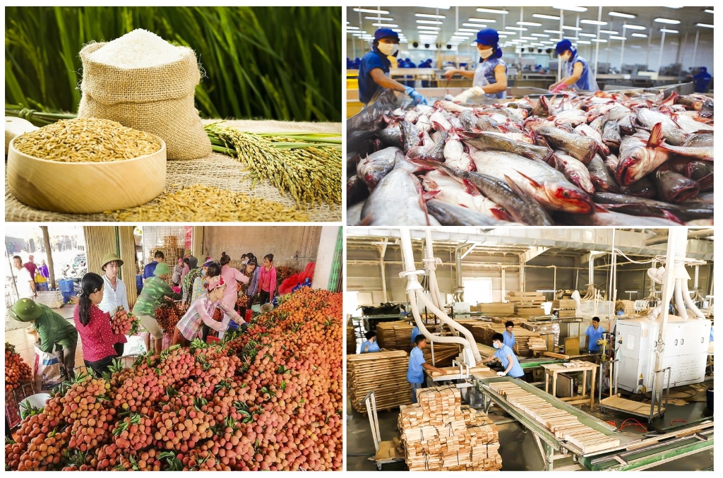 Pg88 com chính chủ nông, lâm, thủy sản vẫn tăng trưởng dù còn rất nhiều khó khăn.