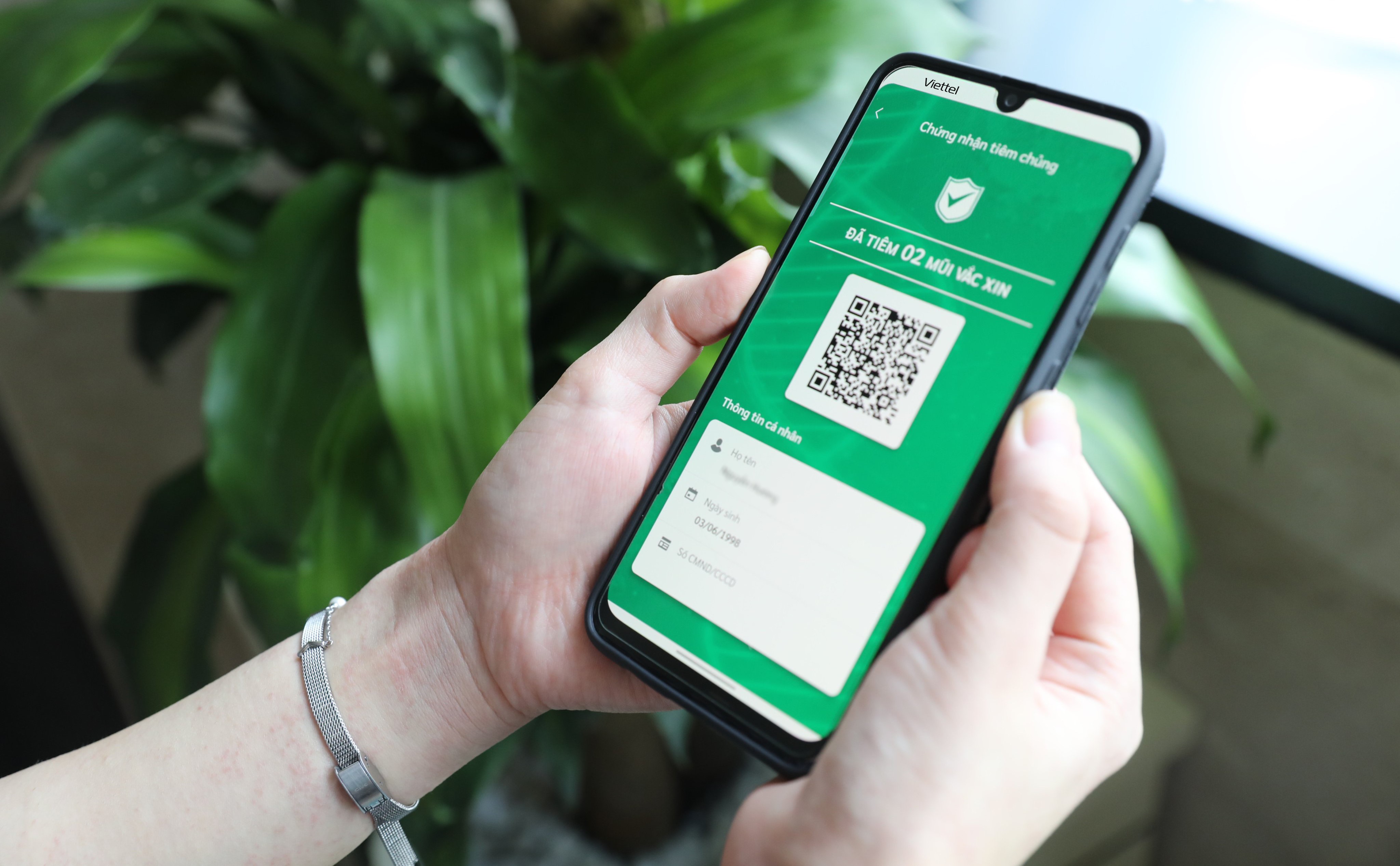 Những người tiêm đủ 2 mũi sẽ có chứng nhận màu xanh