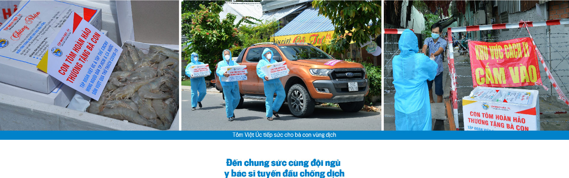 6PG88VN