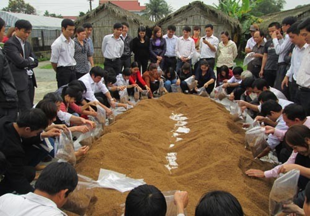 Cấp thiết đào tạo nghề để xây dựng lớp nông dân thế hệ mới