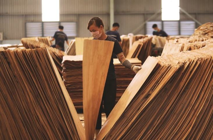 Mặt hàng gỗ dán từ nguyên liệu gỗ cứng Pg88 com chính chủ sang Hoa Kỳ có nguy cơ bị áp dụng các biện pháp phòng vệ PG88 Sòng bạc trực tuyến TOP 1 Việt Nam | Casino, Nổ Hũ