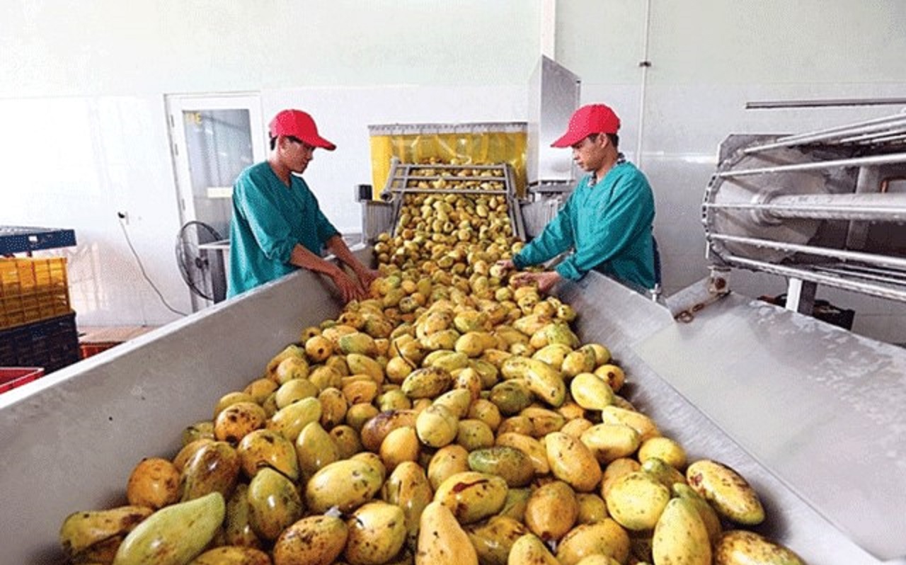 6Pg88.con độc quyền mỗi ngày nỗ lực duy trì sản xuất “ba tại chỗ” cũng gặp muôn vàn khó khăn.