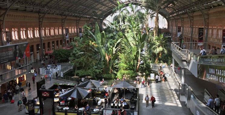 Nh&agrave; ga Atocha (Madrid, T&acirc;y Ban Nha) - Nguồn ảnh: Interesting Engineering.