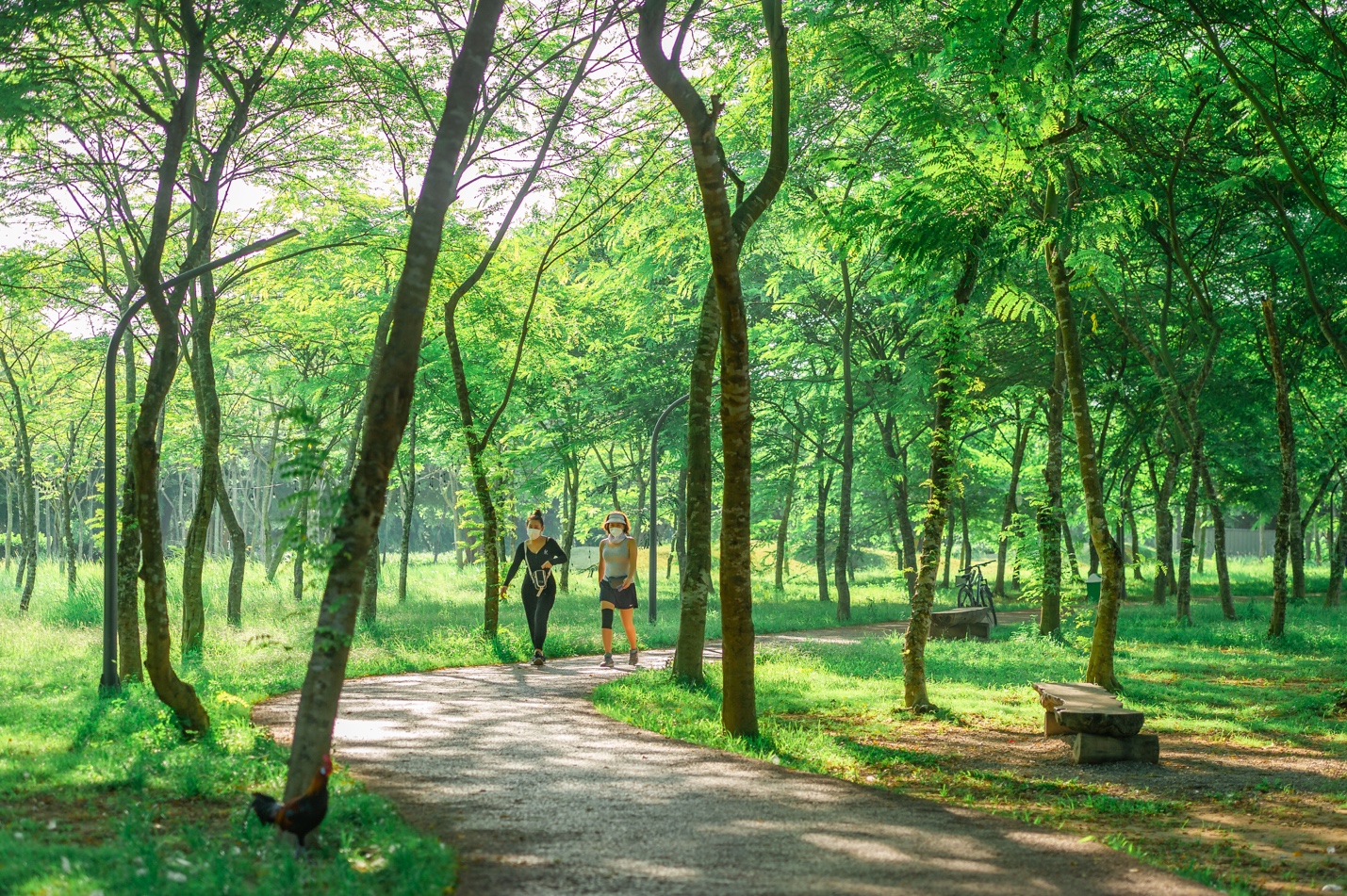 Một cung đường dạo bộ của khu đô thị Ecopark.