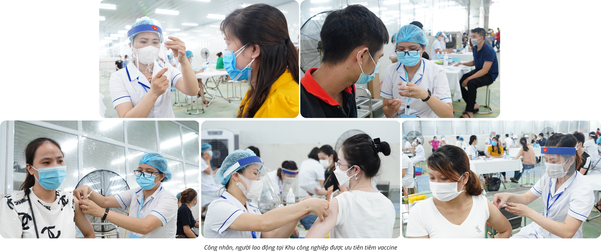 6PG88VN