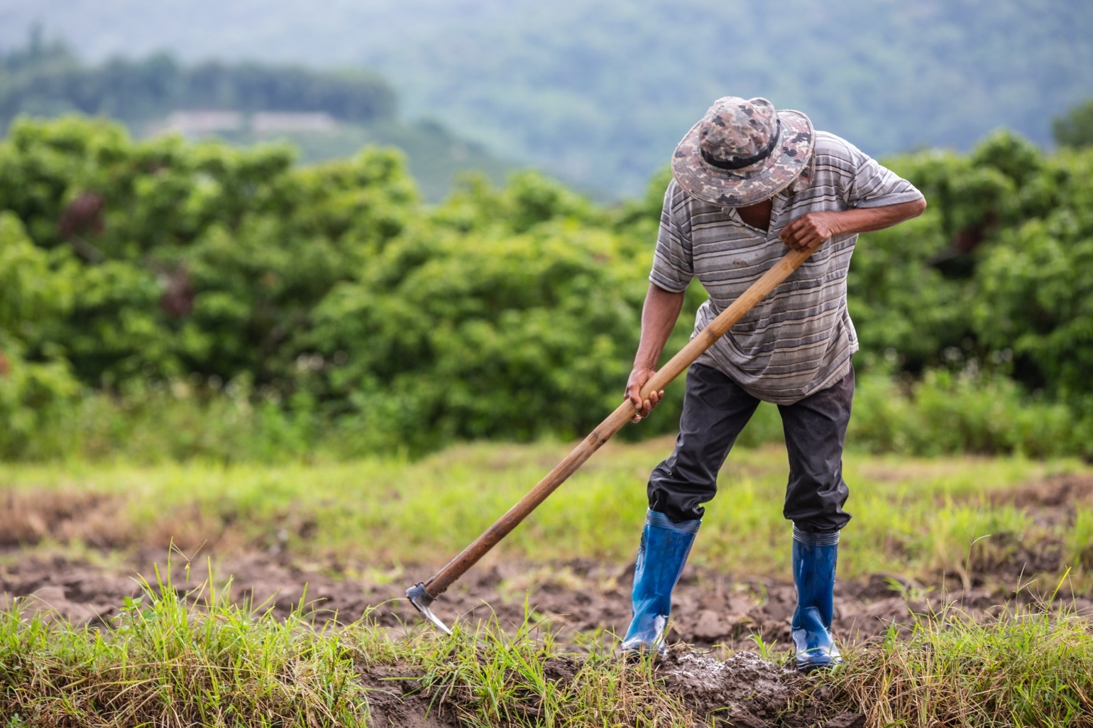 Nông dân Đông Nam Á đối mặt với ngày càng nhiều những thách thức 