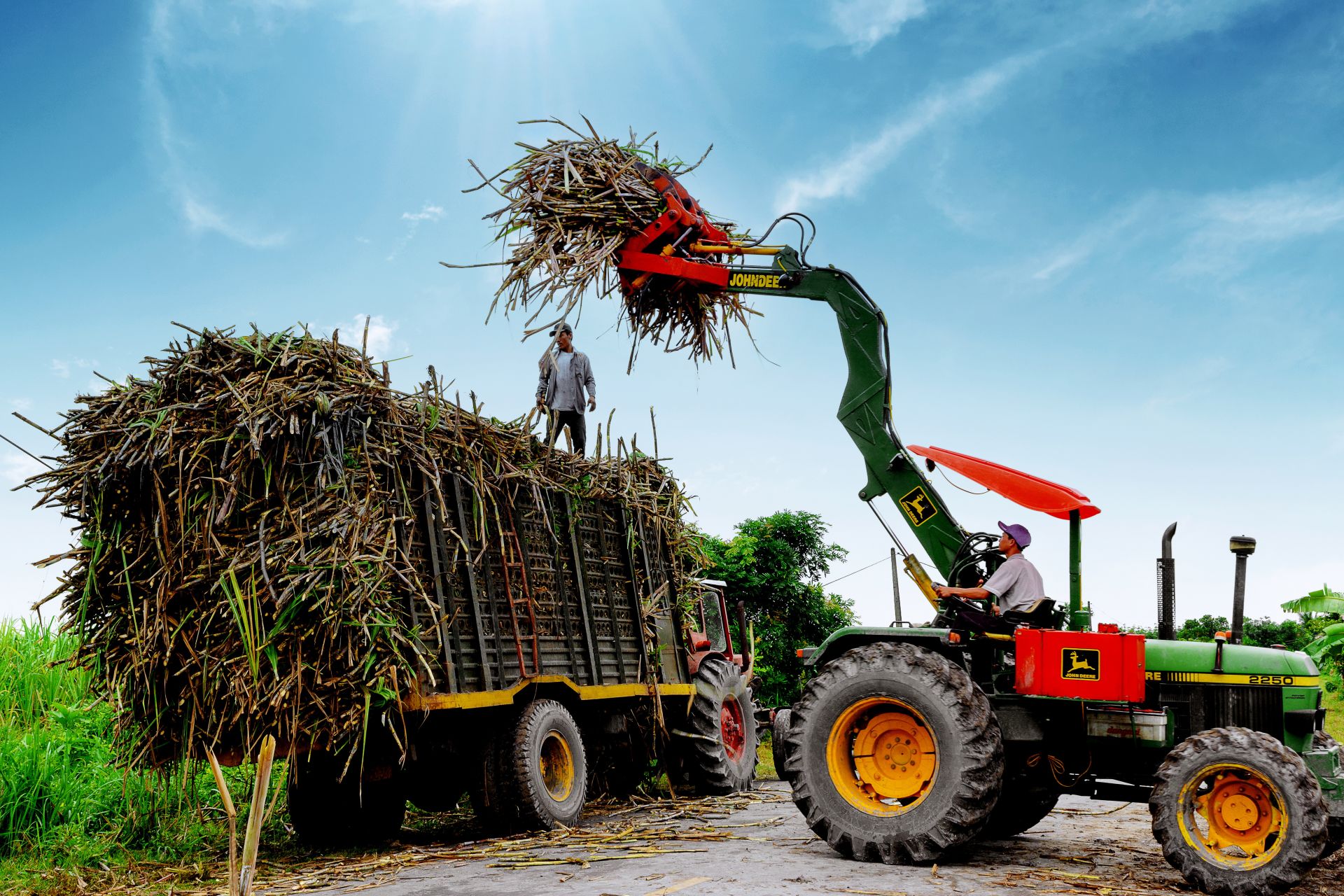 Trong niên vụ 2021-2022, Hiệp hội Mía đường Việt Nam dự kiến diện tích trồng mía sẽ tăng khoảng 10 - 20% so với cùng kỳ và việc mở rộng có thể tiếp tục diễn ra trong những năm tiếp theo do nông dân thu được lợi nhuận từ vụ mía.