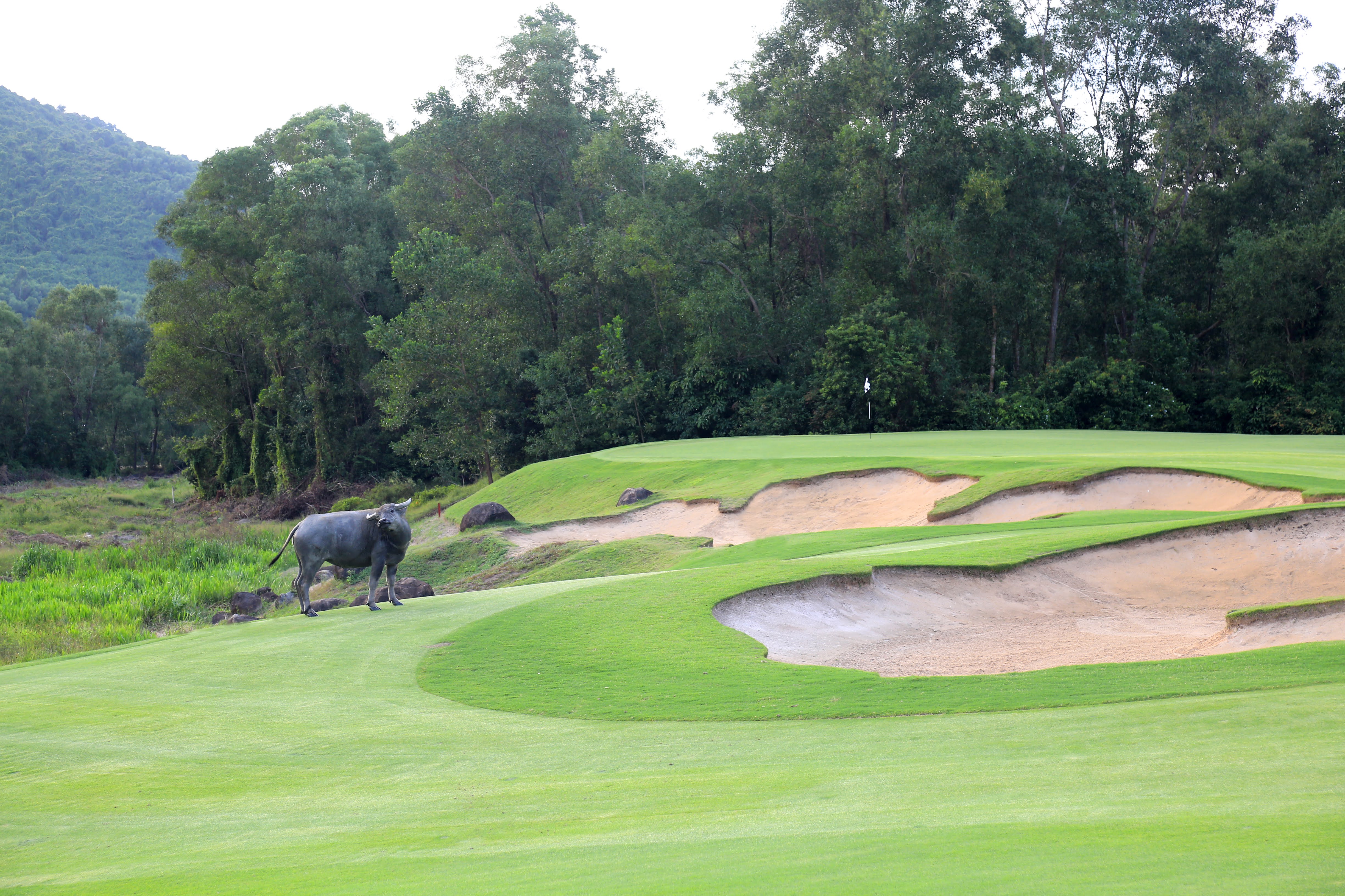 S&acirc;n golf từng đoạt nhiều giải thưởng quốc tế của Laguna Lăng C&ocirc;.