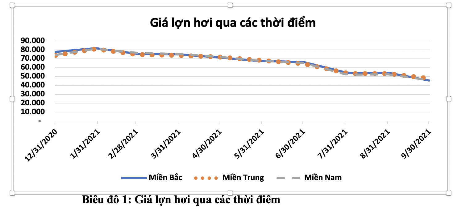 6PG88VN