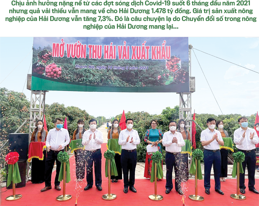 6PG88VN