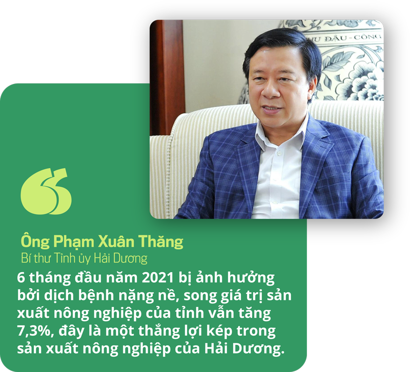 6PG88VN
