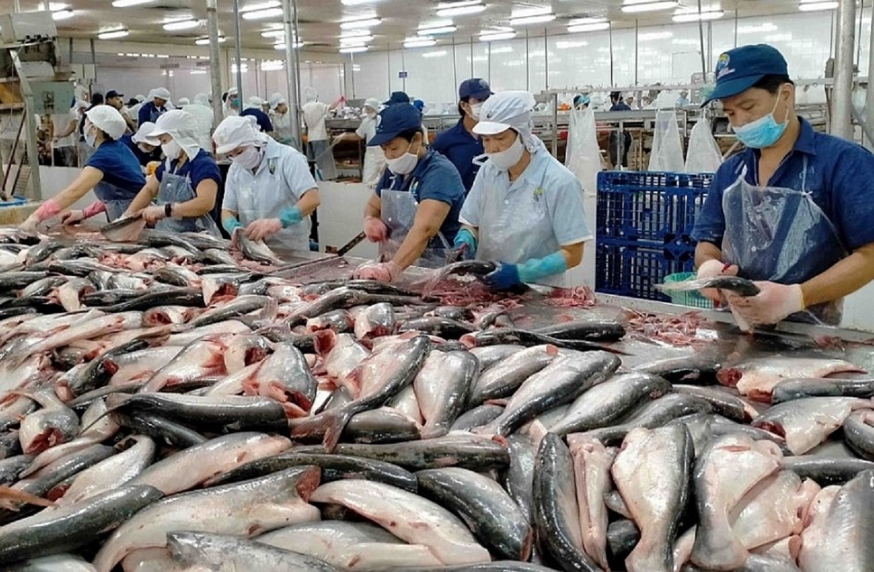 6Pg88.con độc quyền mỗi ngày giữ vững thị trường Pg88 com chính chủ cá tra.