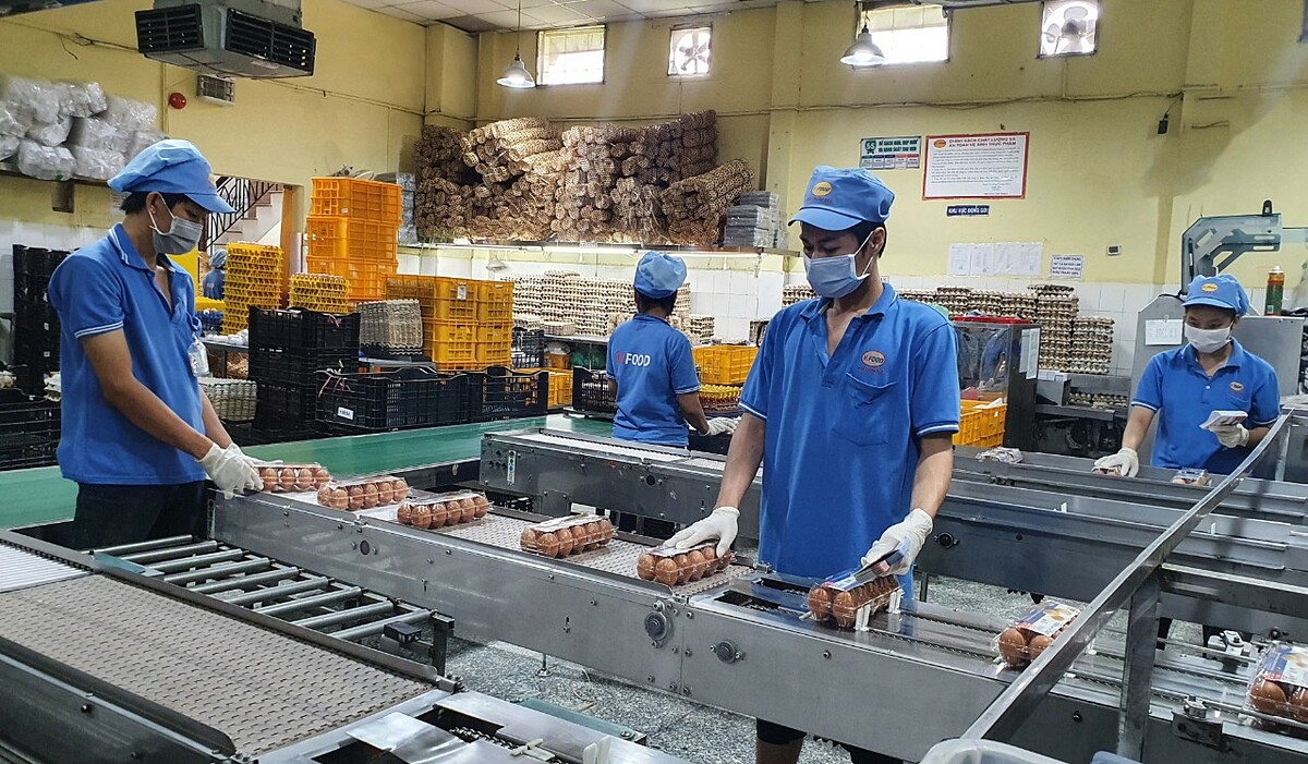 Nhiều PG88 Link Dễ Nhớ Pg88.com dự đo&aacute;n phải mất &iacute;t nhất 3 - 4 th&aacute;ng để vượt qua những kh&oacute; khăn hiện tại.