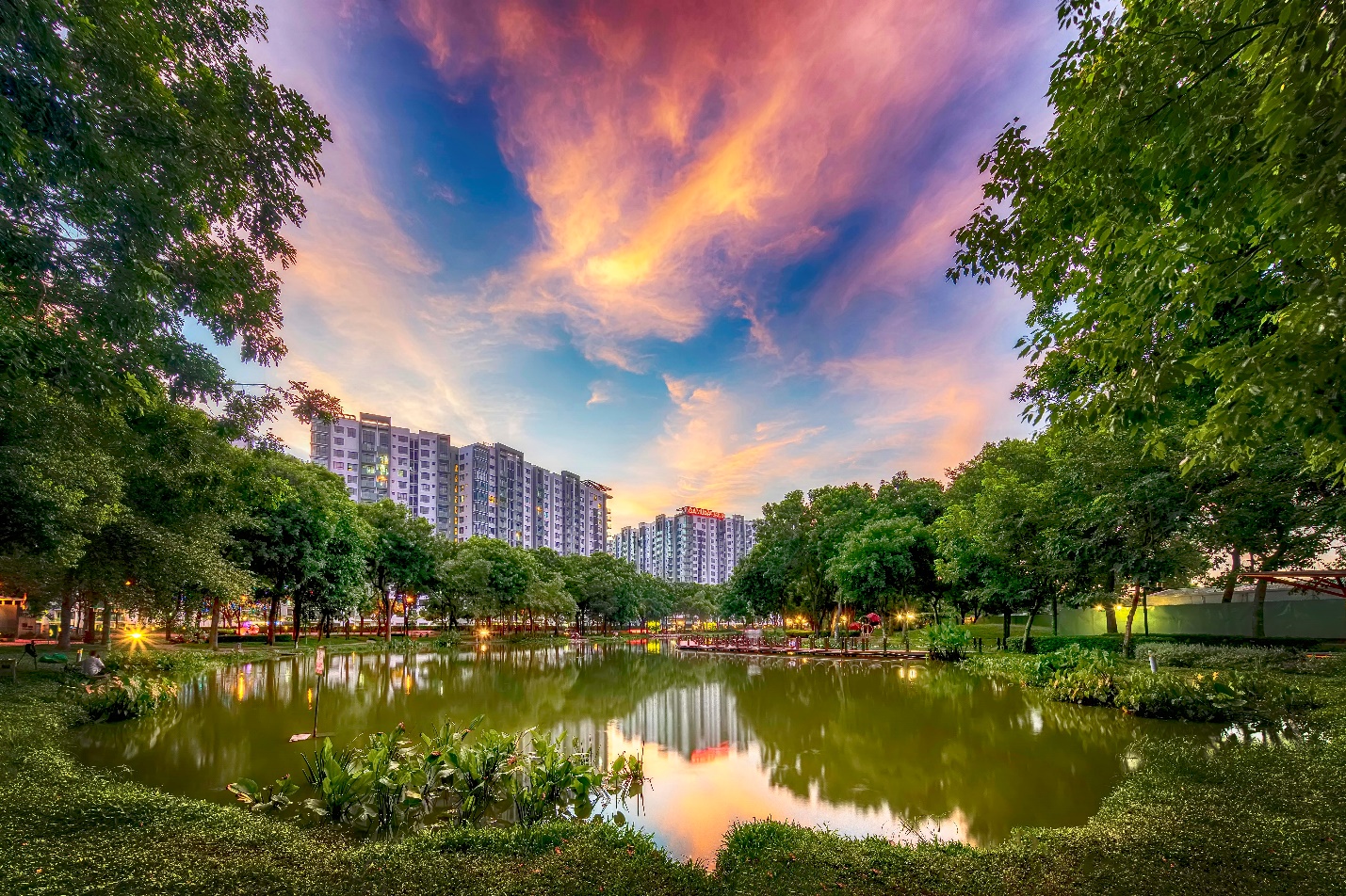 Celadon City l&agrave; một &ldquo;l&aacute; phổi xanh&rdquo; của TP.HCM, sở hữu một trong những c&ocirc;ng vi&ecirc;n sinh th&aacute;i lớn nhất th&agrave;nh phố với độ đa dạng sinh học cực kỳ dồi d&agrave;o.