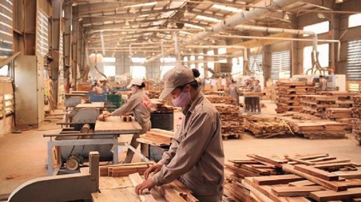 Tốc độ phục hồi của ngành gỗ diễn ra nhanh hơn dự báo 