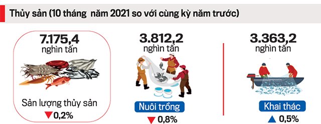 6PG88VN
