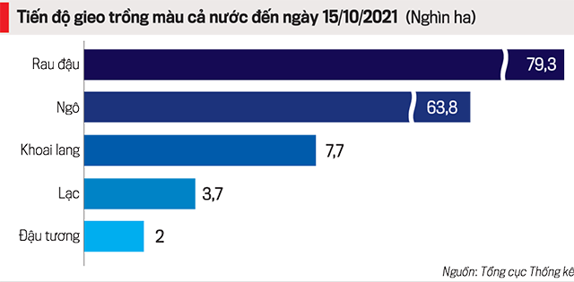 Tiến độ trồng c&acirc;y rau m&agrave;u t&iacute;nh đến 15/10/2021
