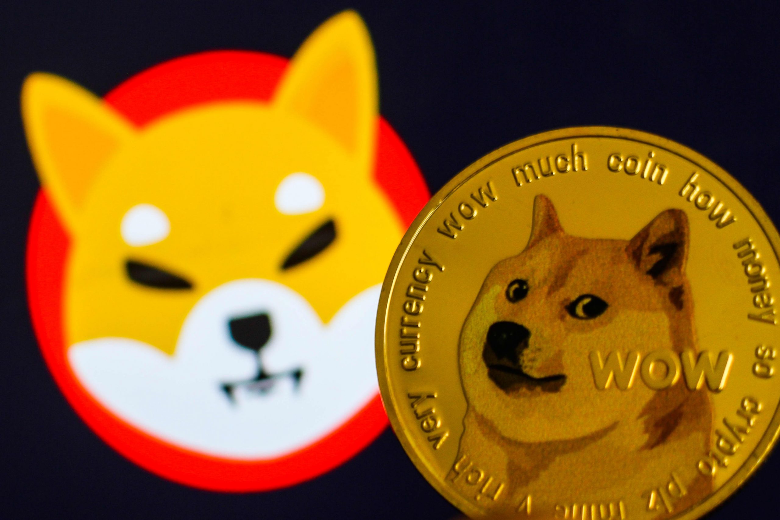 Vì sao hai “trò đùa” Dogecoin và Shiba Inu lọt top 10 tiền ảo lớn nhất thế giới?