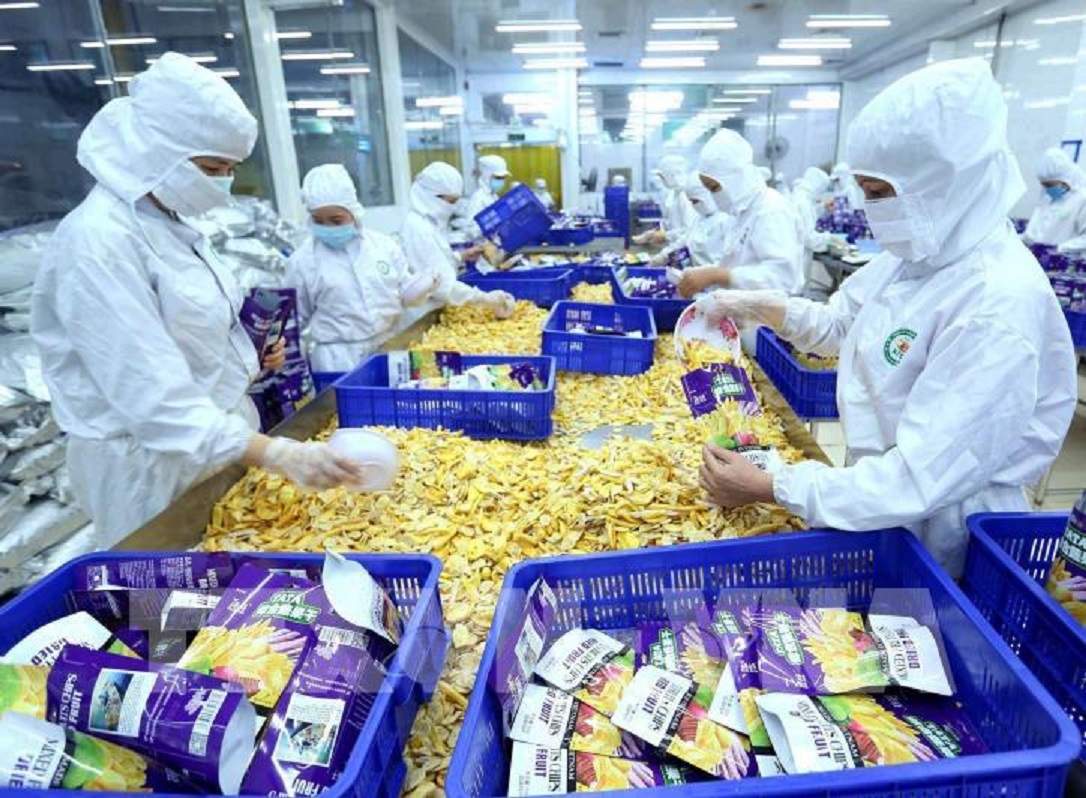 Không có cơ hội nào cho 6Pg88.con độc quyền mỗi ngày Việt tại EU nếu không có Global G.A.P