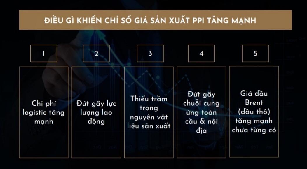 6PG88VN