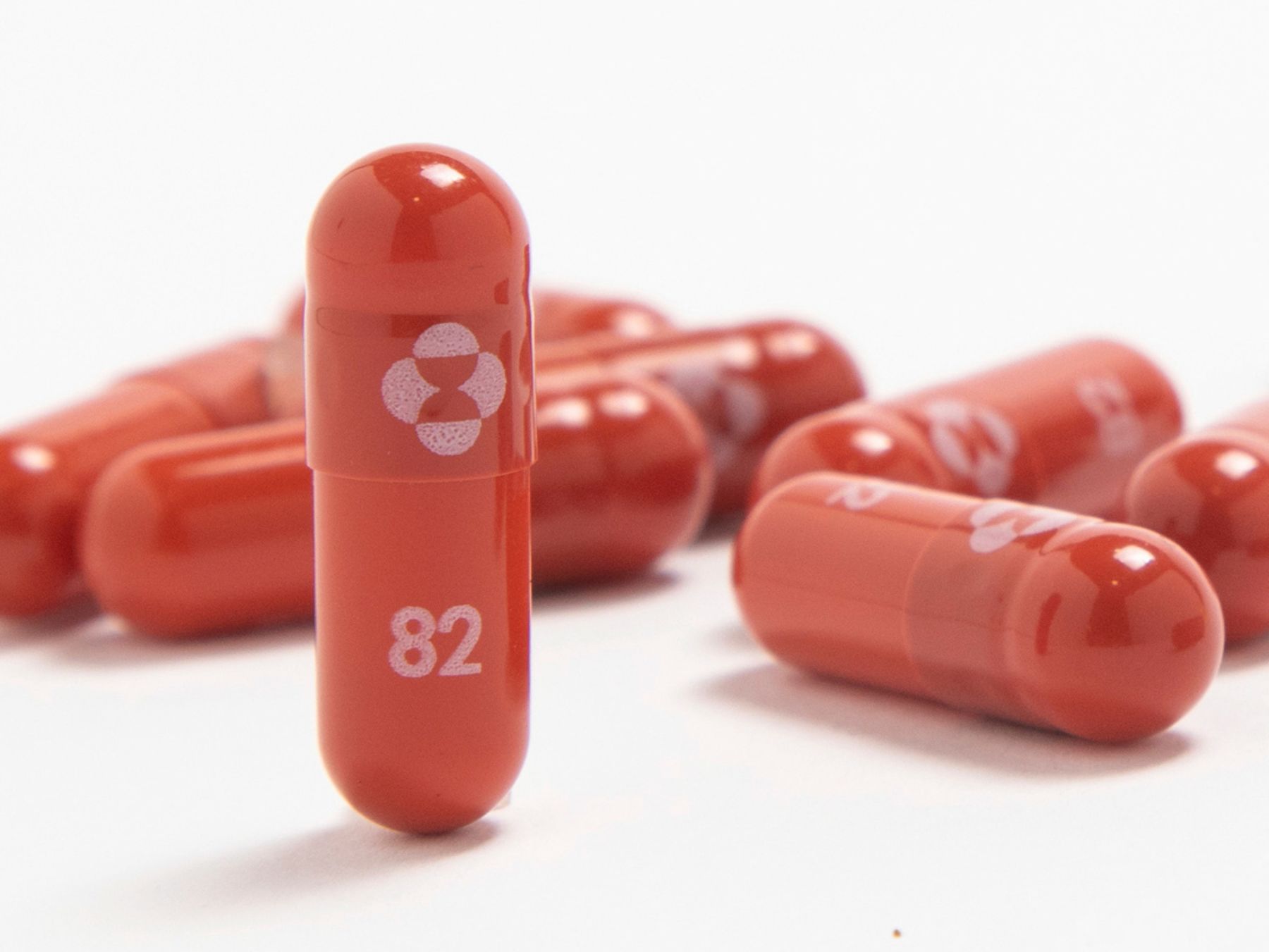 Thuốc Molnupiravir - Ảnh: Merck/Bloomberg.
