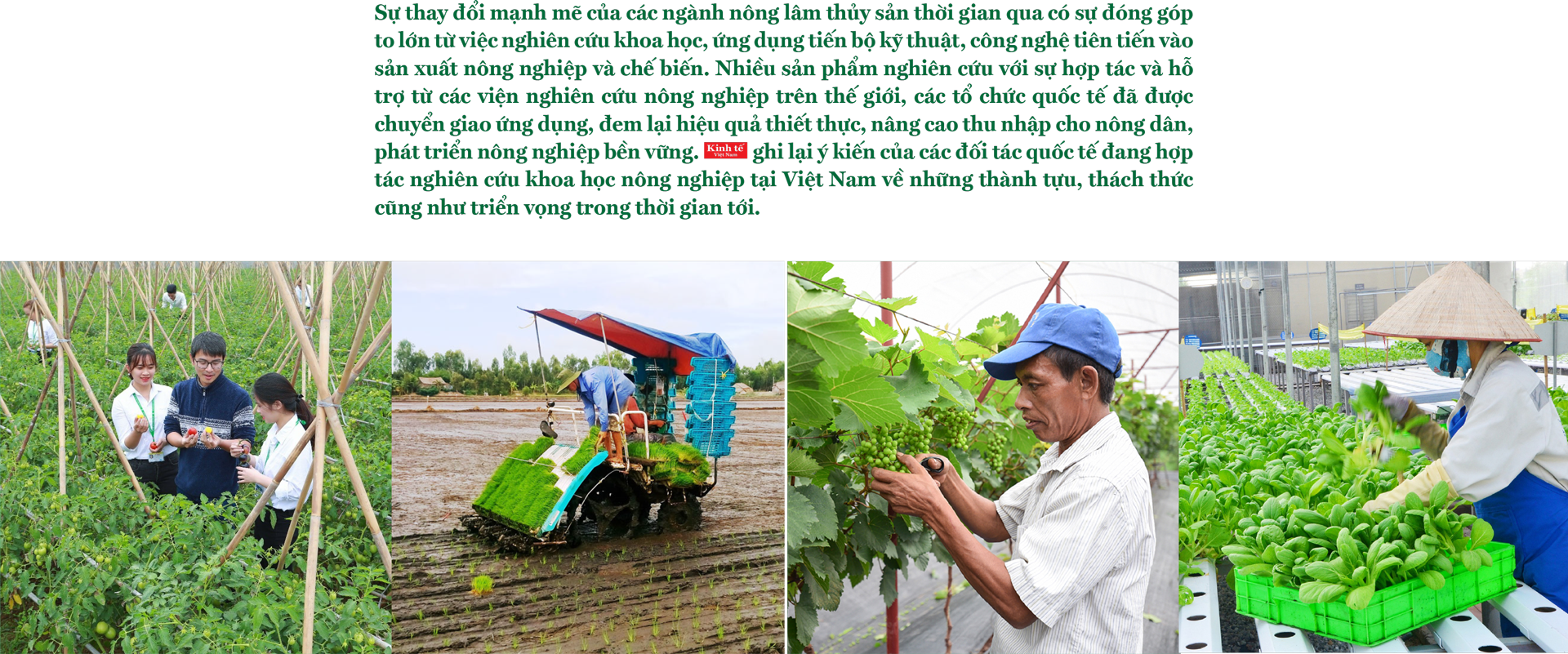 6PG88VN