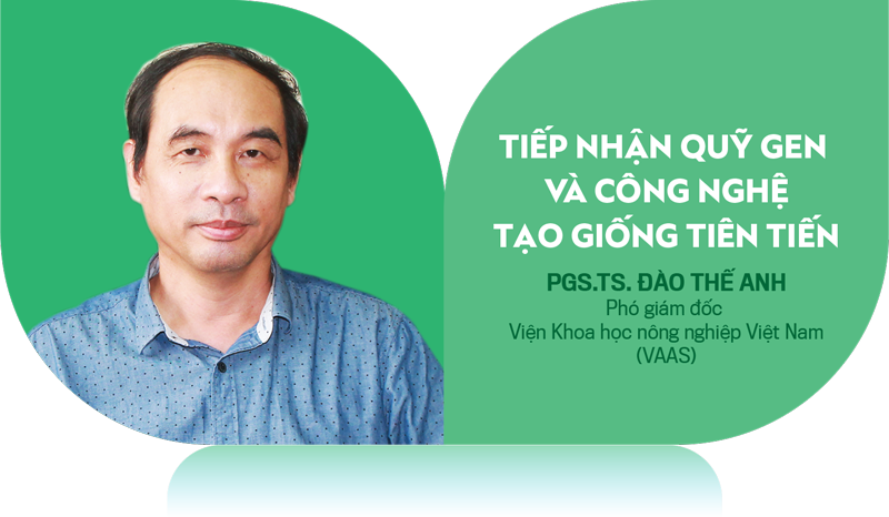 6PG88VN
