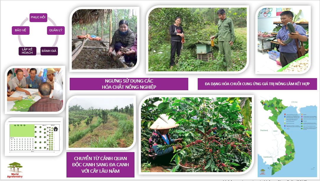 Khoa học giúp nông nghiệp PG88 hơn 2,1 triệu thành viên bền vững