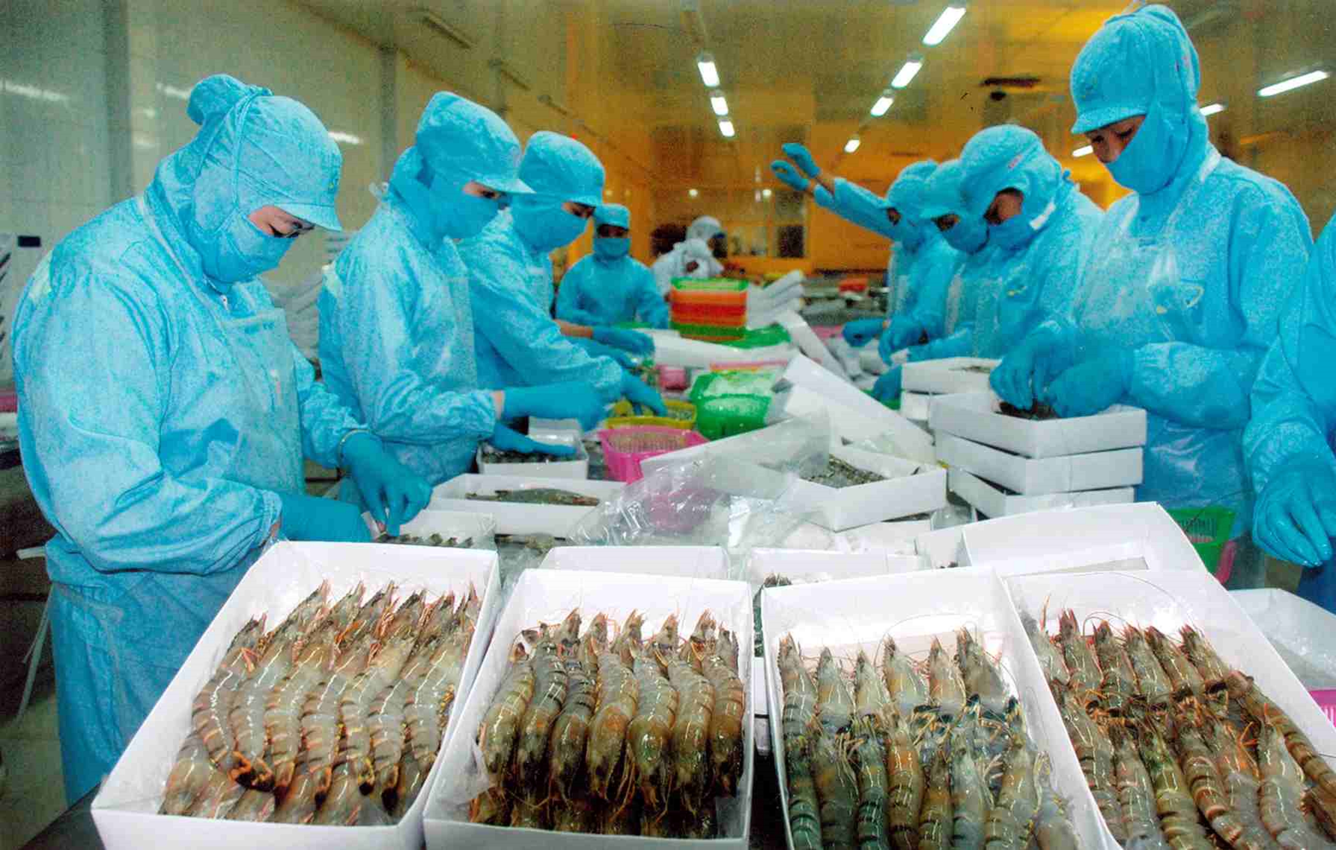 Pg88 com chính chủ tôm nỗ lực vượt khó khăn.