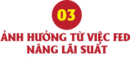 6PG88VN