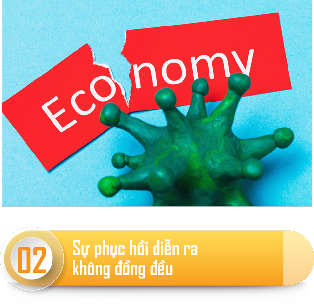6PG88VN