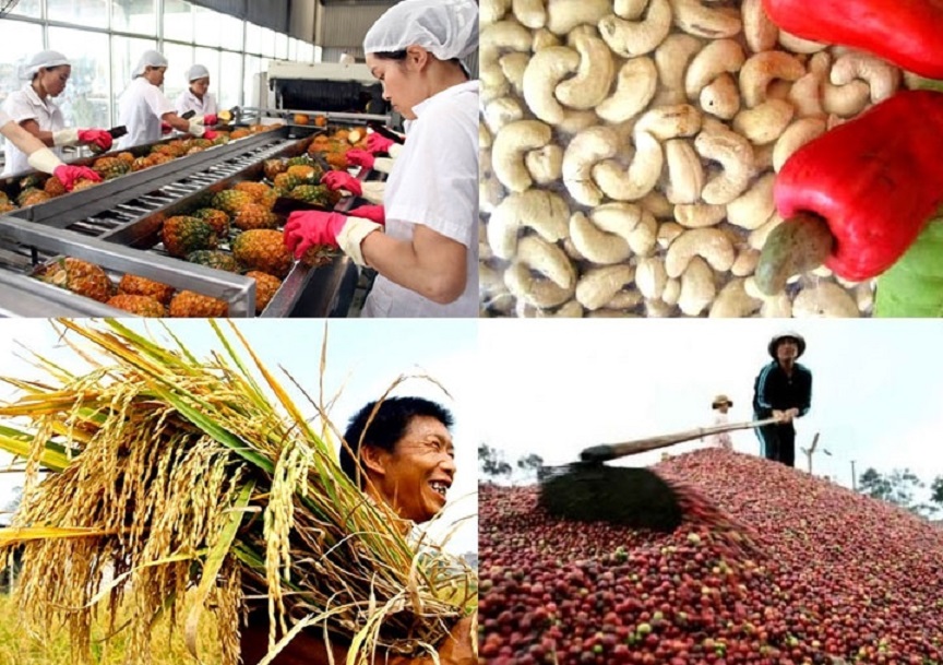 Pg88 com chính chủ nông lâm thủy sản năm 2021 tăng cao kỷ lục.