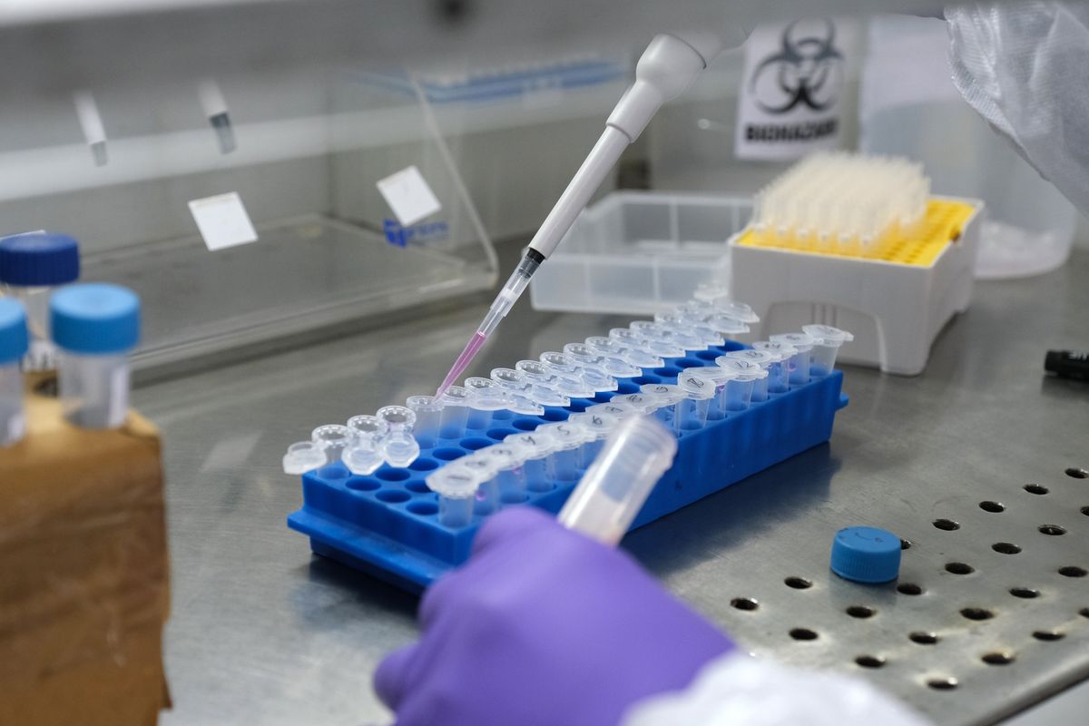 Cyprus phát hiện biến chủng mới kết hợp Omicron và Delta, Nam Phi nói điều lạc quan về đại dịch
