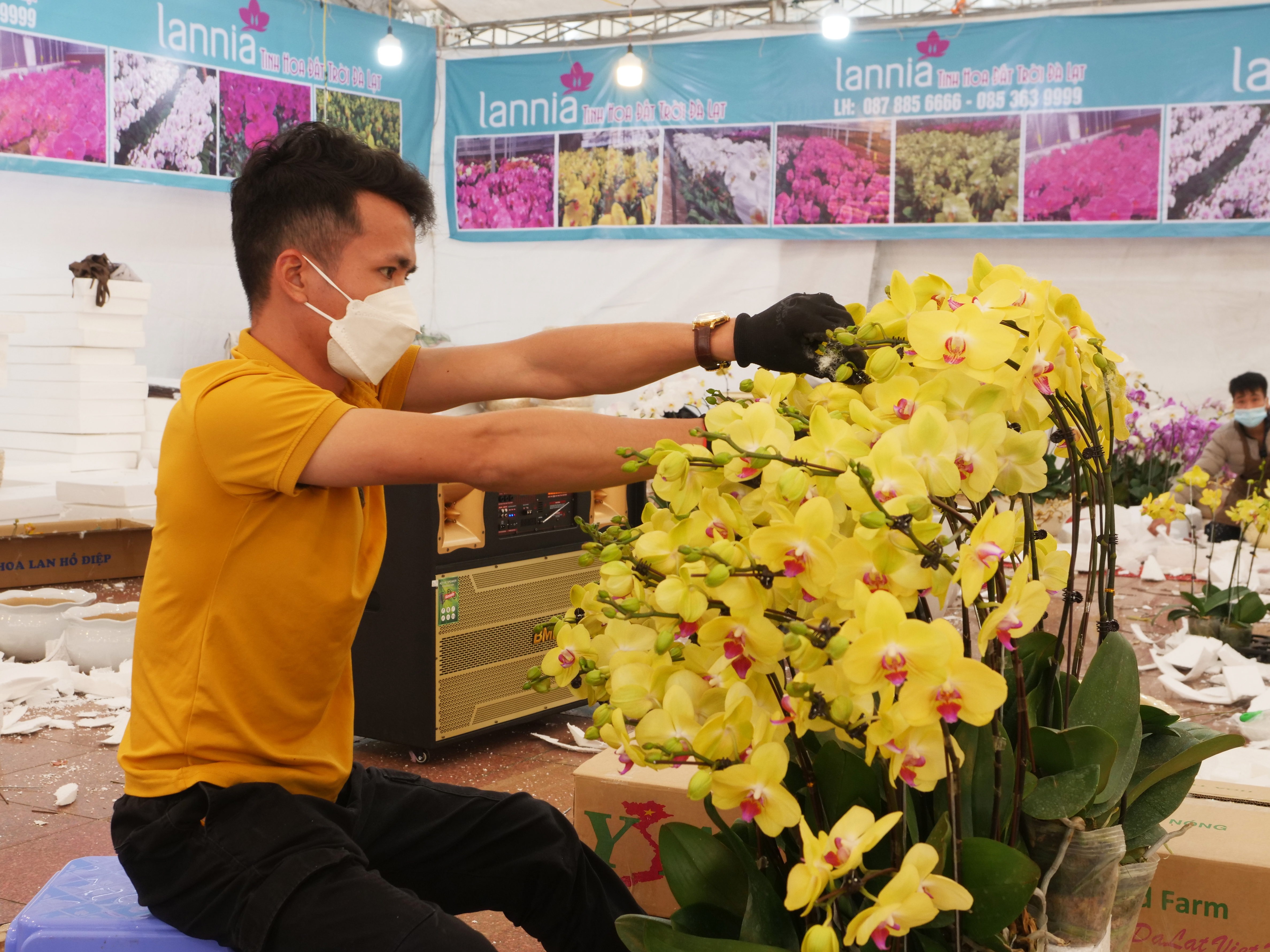 H&agrave;ng ng&agrave;y, anh Nguyễn Văn H&ugrave;ng, một người c&oacute; tay nghề cao trong việc cắm, trang tr&iacute; chậu lan bắt đầu c&ocirc;ng việc từ 8 giờ s&aacute;ng v&agrave; chỉ nghỉ v&agrave;o khoảng 9 &ndash; 10 giờ tối. Với kinh nghiệm l&agrave;m việc hơn 10 năm của m&igrave;nh, thu nhập của anh H&ugrave;ng đạt mức 4 &ndash; 5 triệu đồng 1 ng&agrave;y.