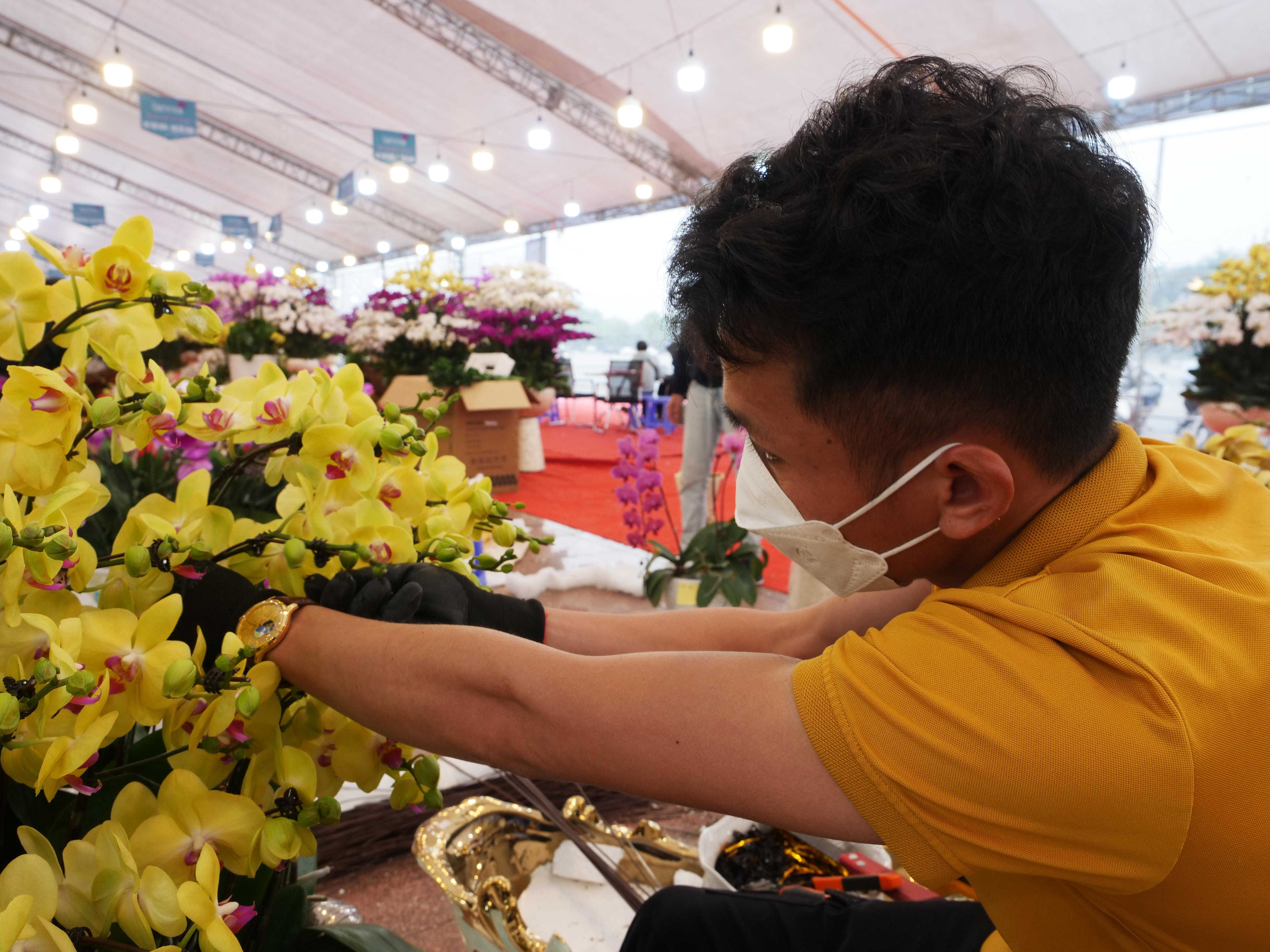 Kh&ocirc;ng chỉ trực tiếp l&agrave;m việc, anh H&ugrave;ng c&ograve;n quản l&yacute; đội thợ cắm hoa 20 người. Anh H&ugrave;ng ph&acirc;n c&ocirc;ng 8 người l&agrave;m việc c&ugrave;ng anh ở điểm b&aacute;n Lannia Mỹ Đ&igrave;nh, số c&ograve;n lại rải r&aacute;c ở c&aacute;c điểm PG88 Uy Tín Số 1 Việt Nam lan hồ điệp kh&aacute;c ở T&acirc;y Hồ v&agrave; Long Bi&ecirc;n.