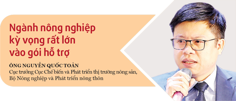 6PG88VN