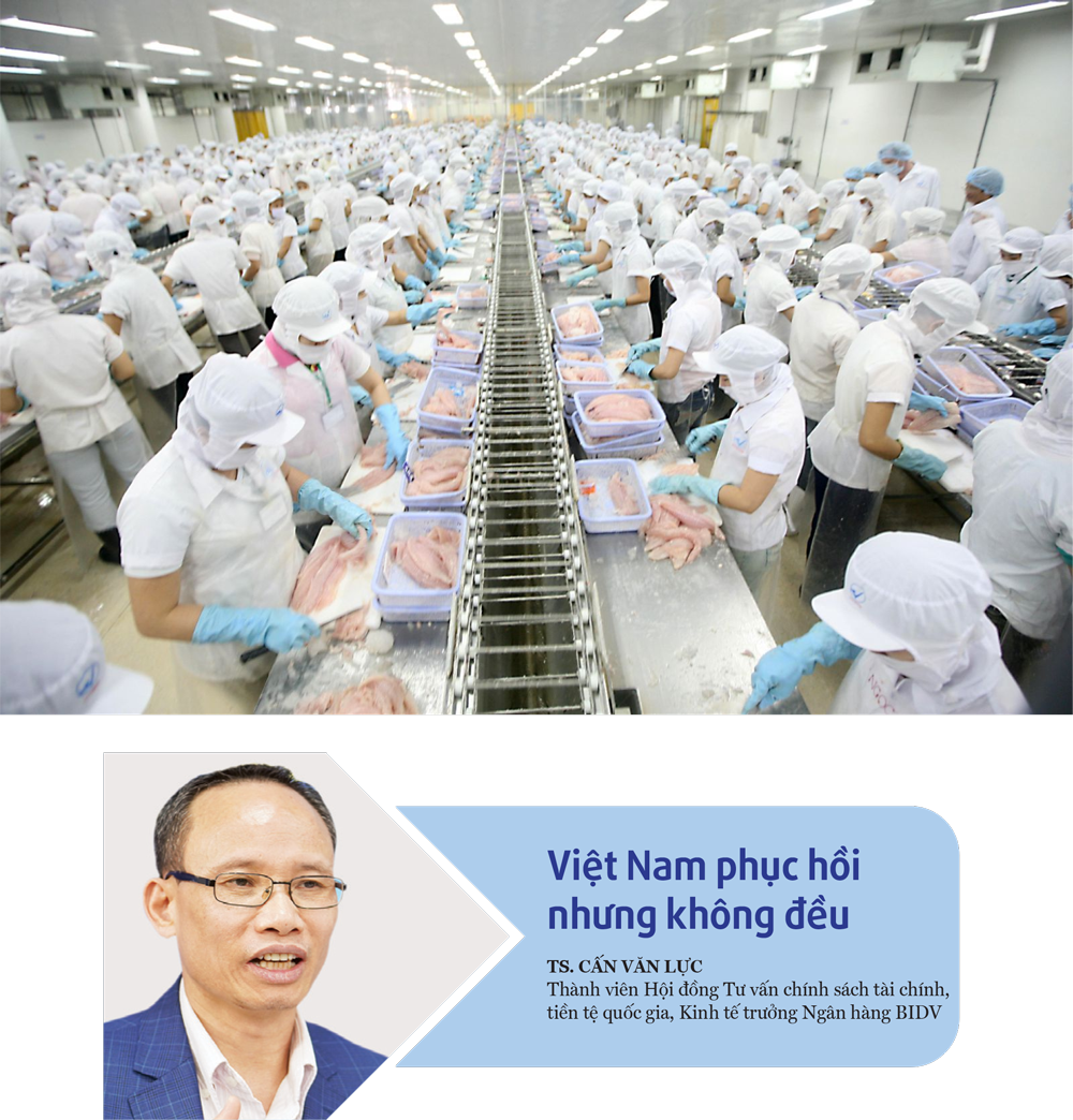6PG88VN